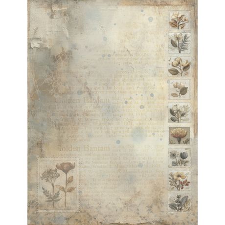 49 and Market - Faded Memory Lane - 6x8 Collection Pack