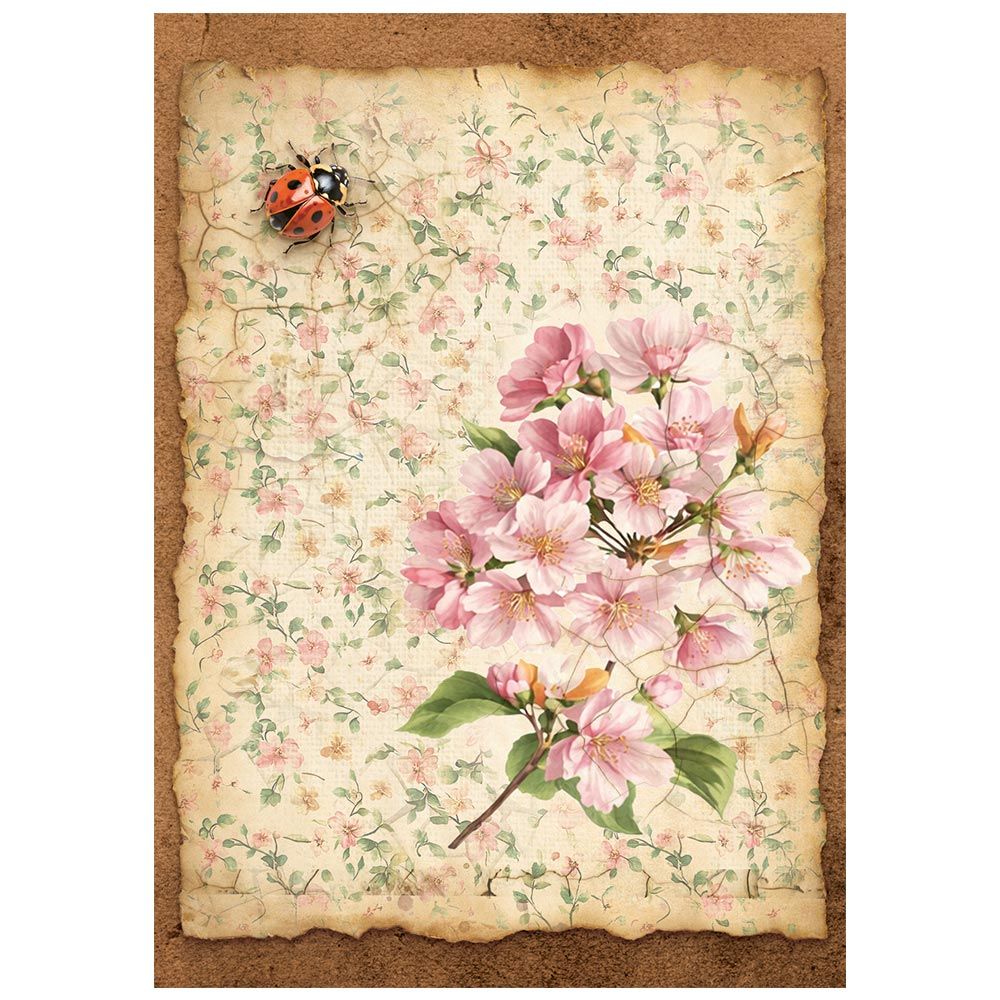 Stamperia - All Around - A6 Mini Rice Paper Pack