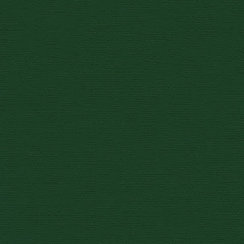 My Colors - Canvas Cardstock - Evergreen