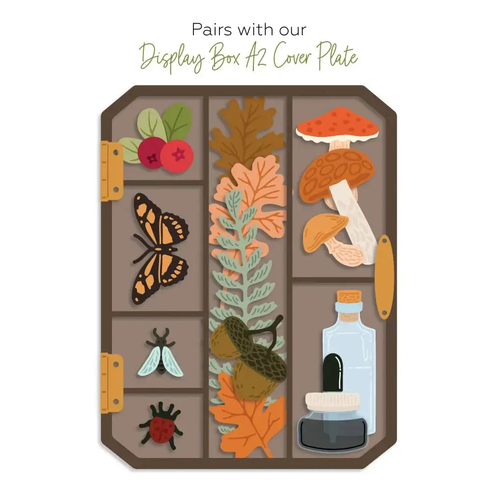Honey Bee - Display Box: Fall Add-On Die Set