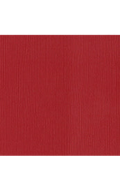 Bazzill Mono - Lava Cardstock