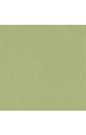 Bazzill Mono - Pear Cardstock