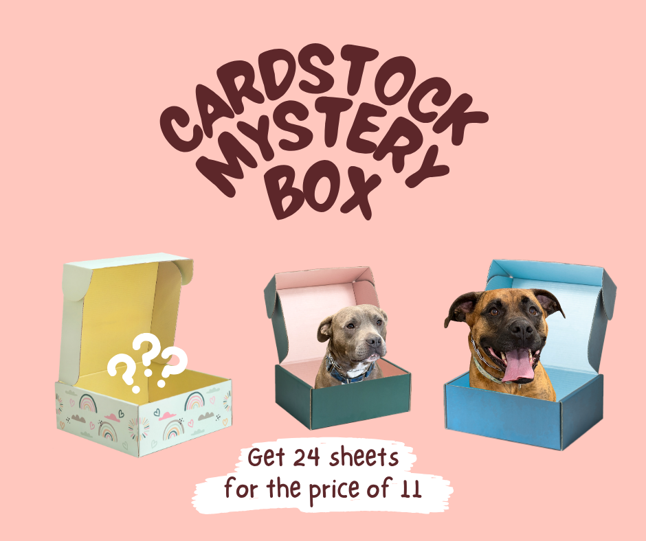American Crafts - Cardstock Mystery Box