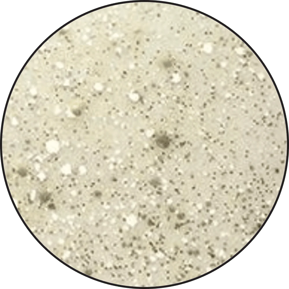 Ranger - Embossing Powder - Flurries
