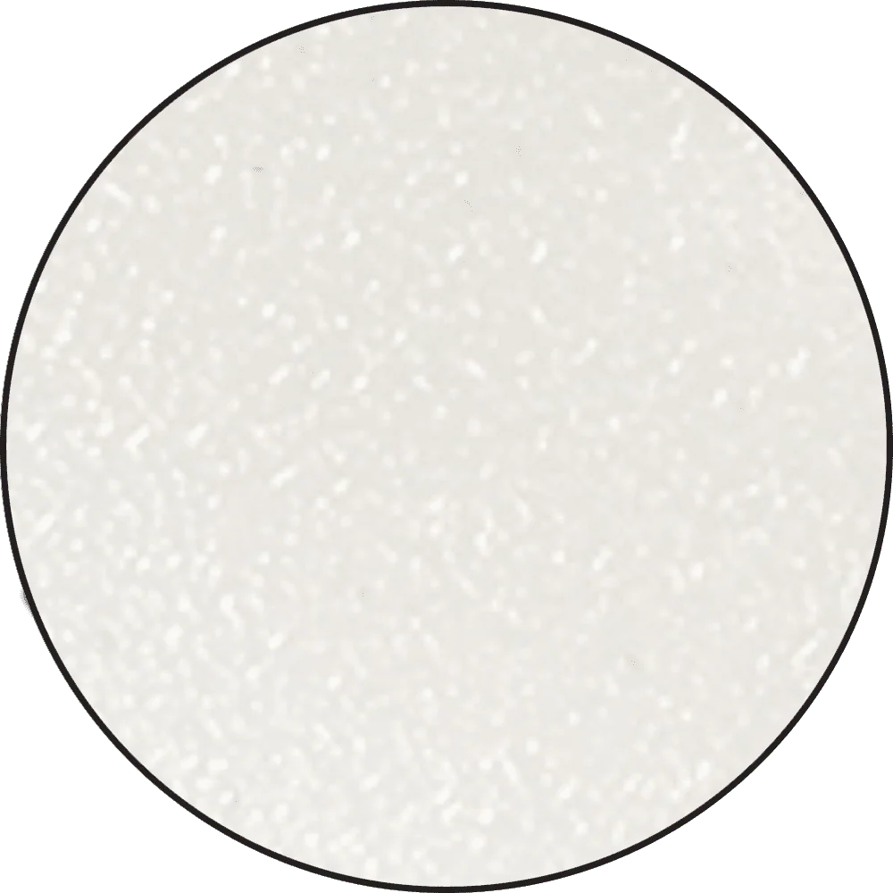 Ranger - Embossing Powder - Frosted Crystal
