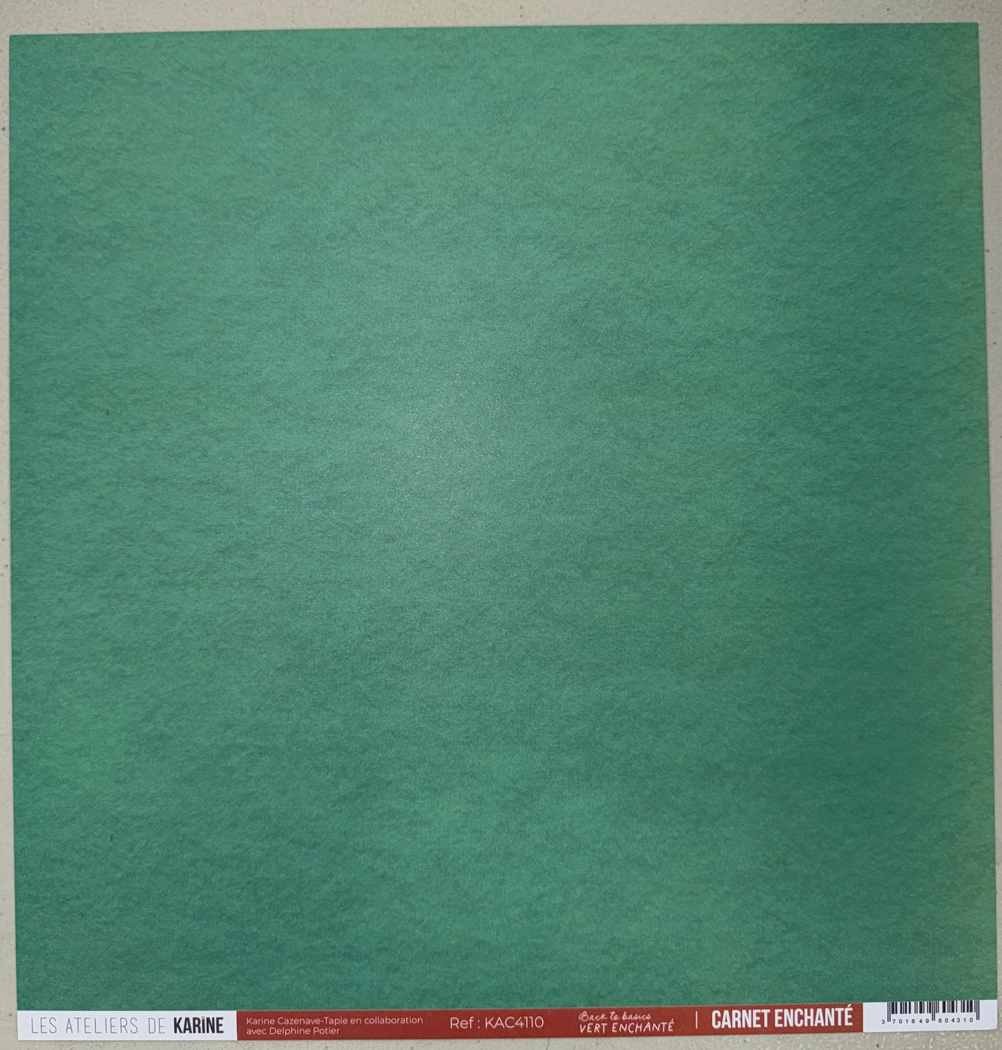 Les Ateliers de Karine - Carnet Enchante - Solid Cardstock: Vert Enchante