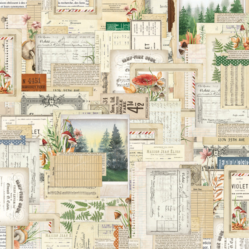 Simple Stories - Simple Vintage Woodlands - Cardstock: View From Here