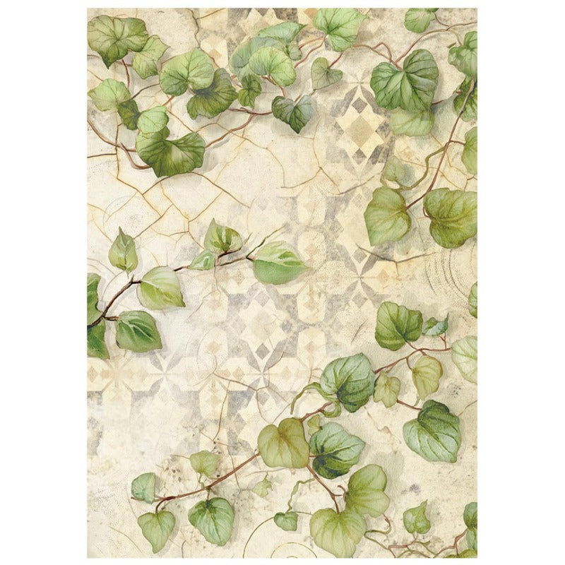 Stamperia - All Around - A6 Rice Paper Backgrounds