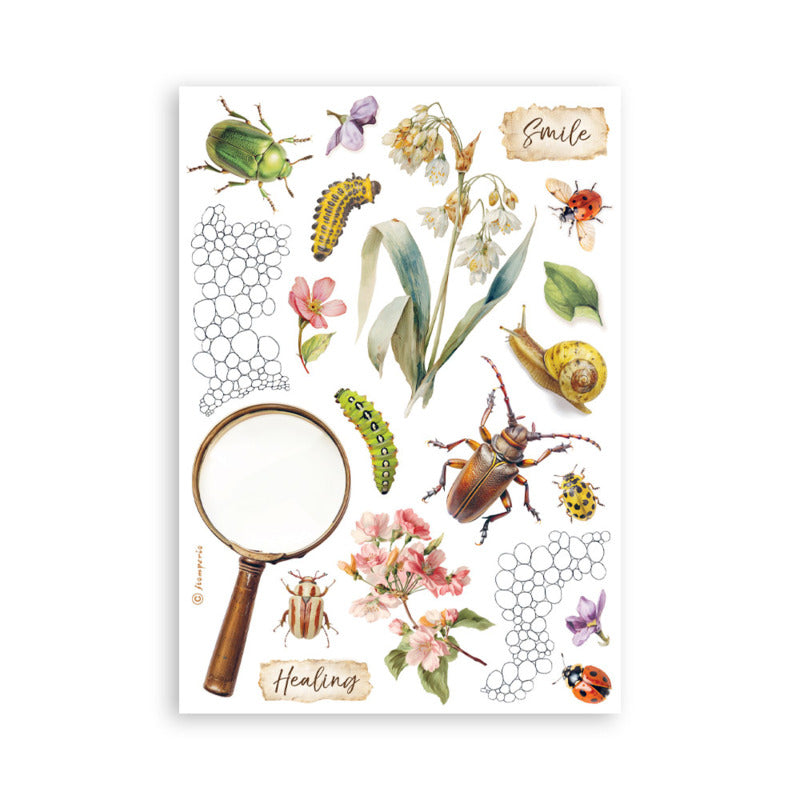 Stamperia - All Around - Washi Pad