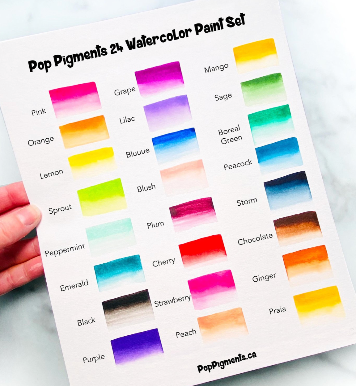 Pop Pigments - Pop Palette - 24 colors