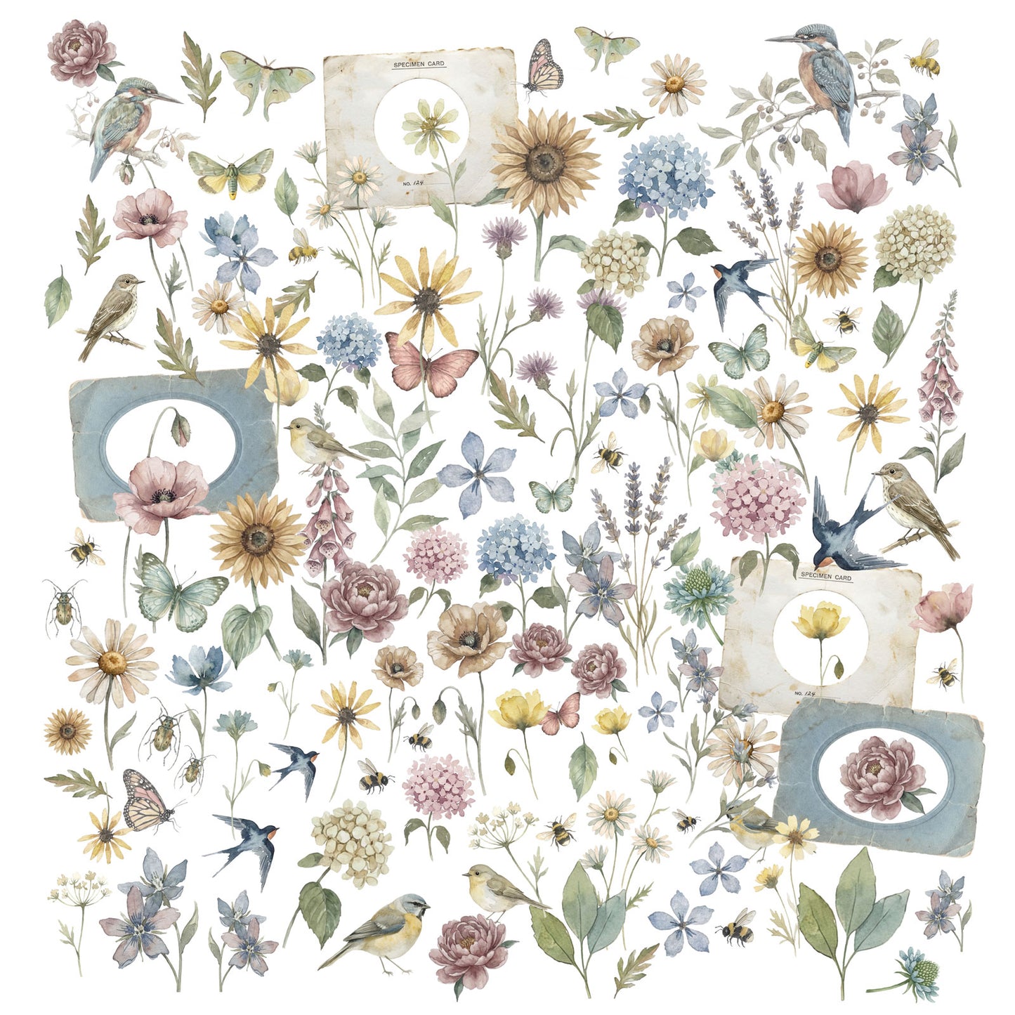 49 & Market - The Quiet Observer - Laser Cut Wildflowers