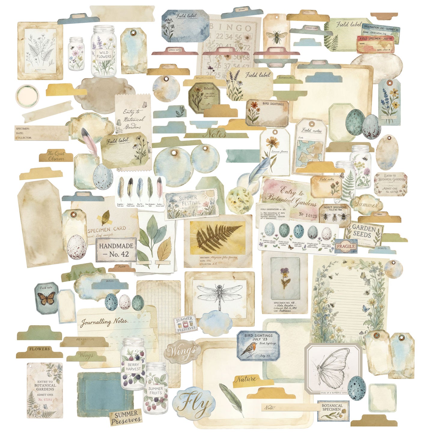 49 & Market - The Quiet Observer - Ephemera Set