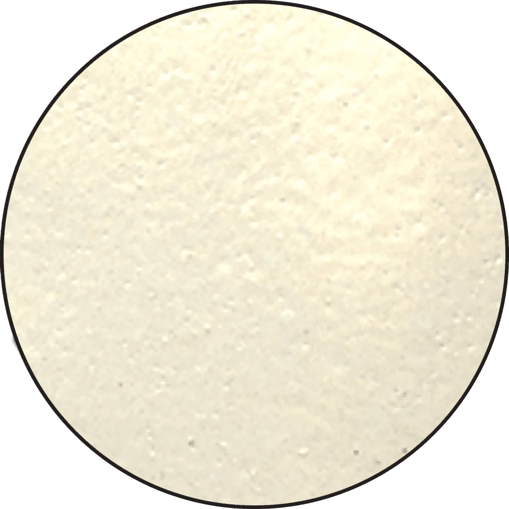Ranger - Embossing Powder - Vintage Pearl