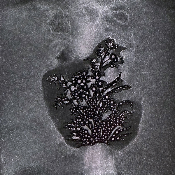 Lindy's - Just Shimmer Spray - Lycan Lilac