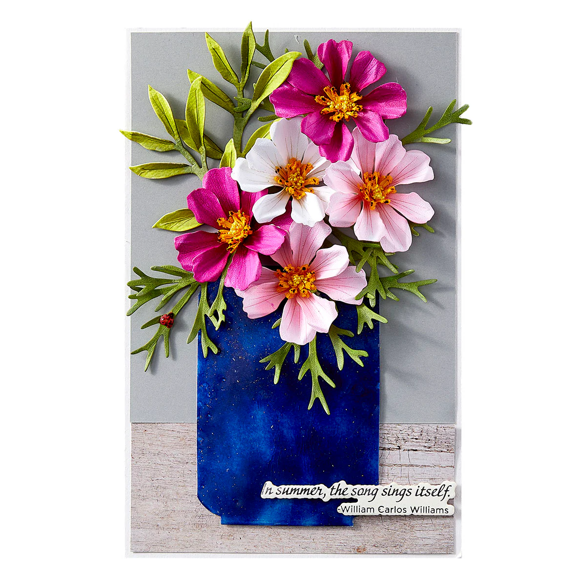 Spellbinders - Cosmos Die Set