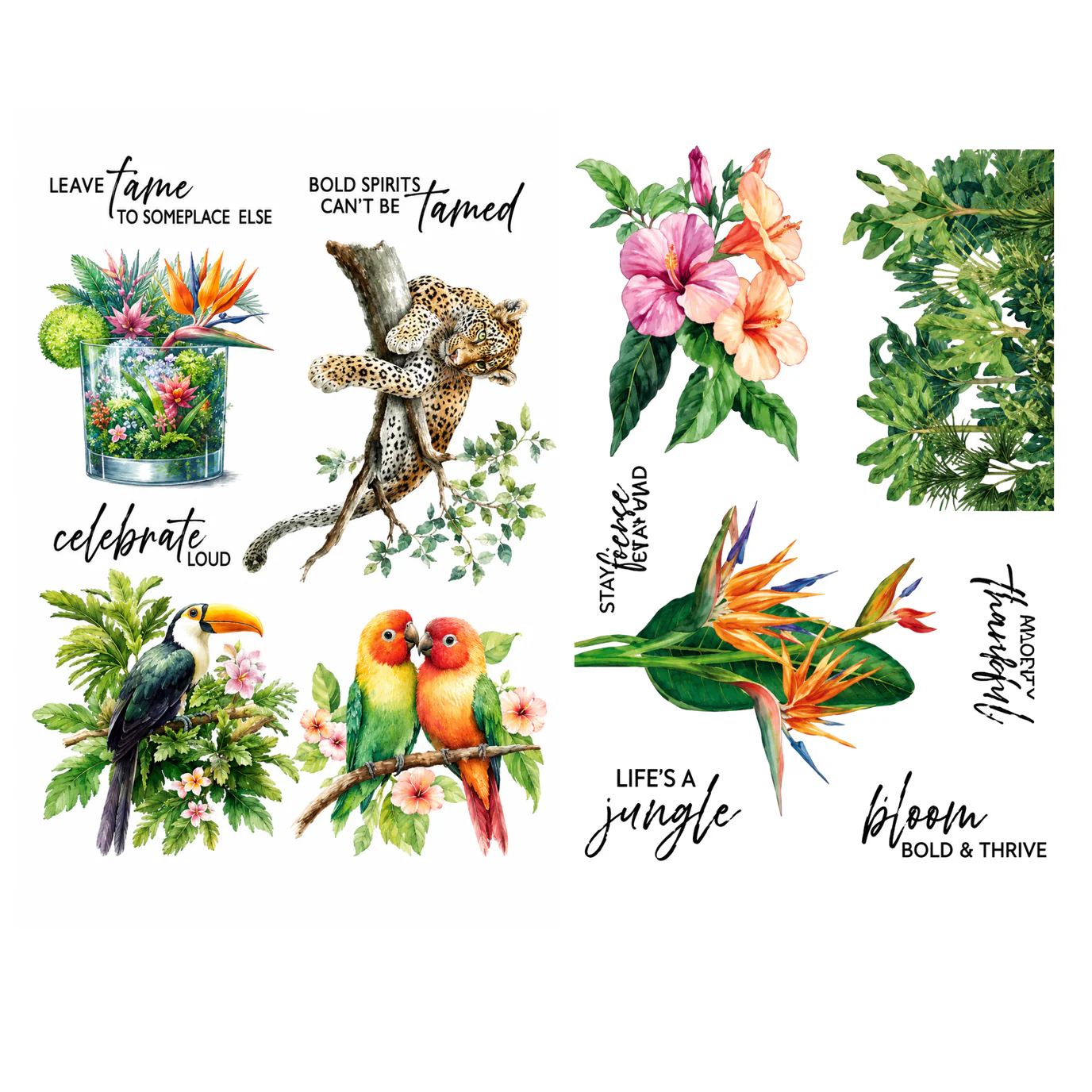 Spellbinders - Life's A Jungle Rub-Ons