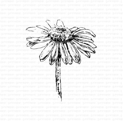 Gummiapan - Daisy Stamp