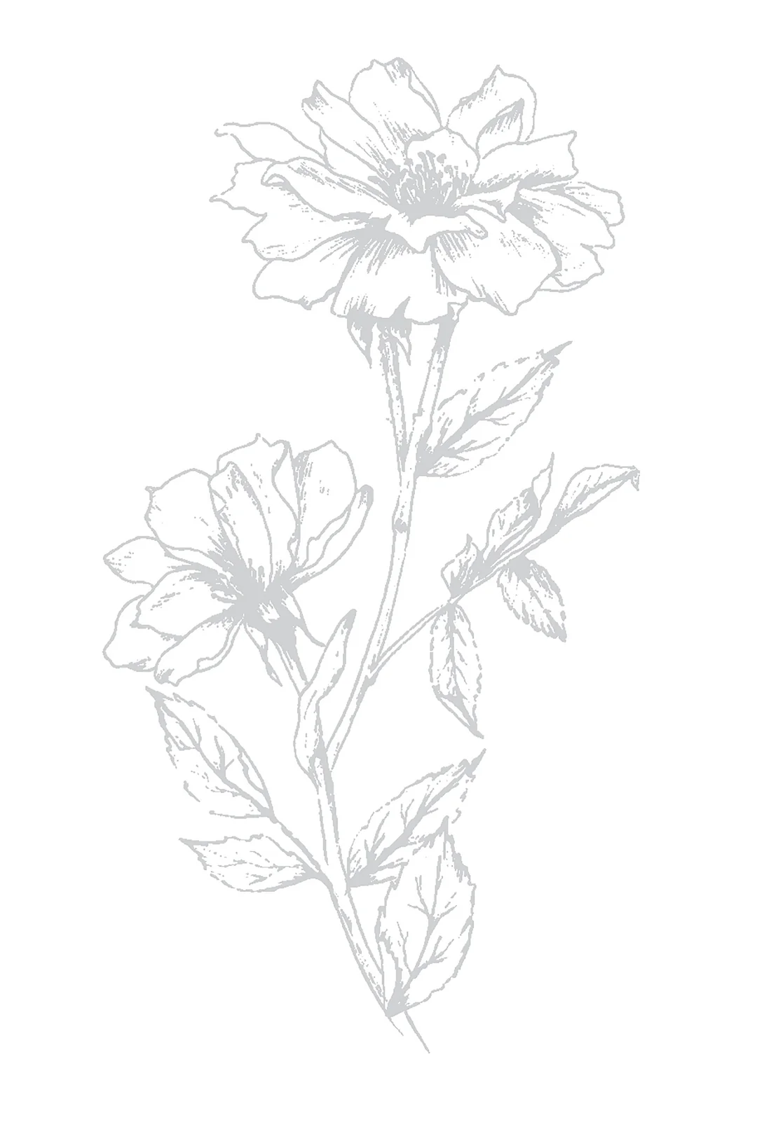 LDRS - Victorian Petals - Impress-ion + Foil Plate