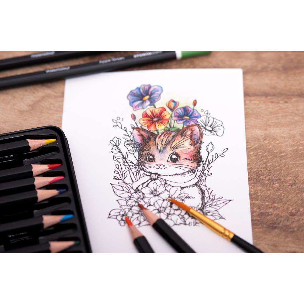 Studio Light - Color Pencils - Watercolor