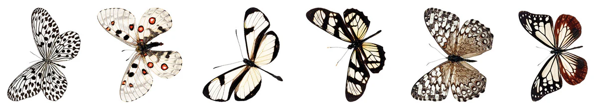 Studio Light - Butterfly Stickers