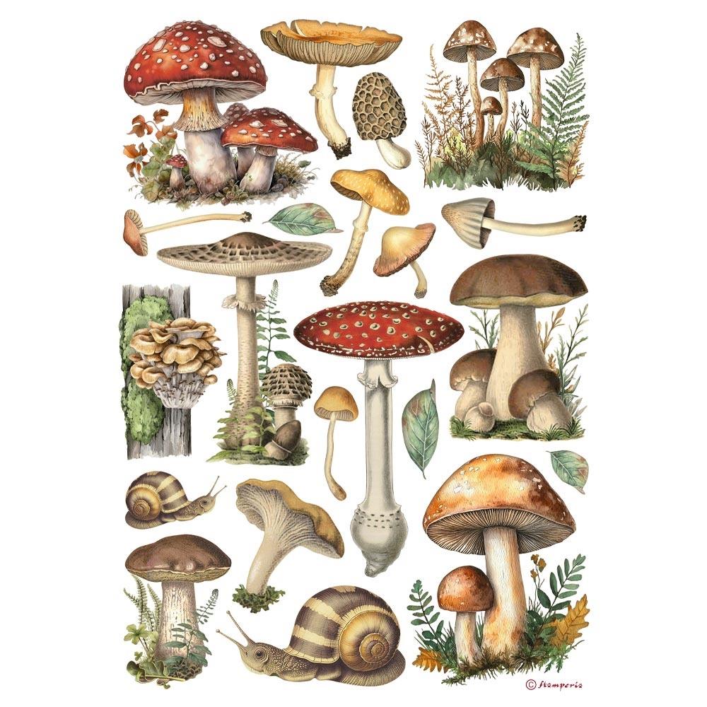 Stamperia - Rice Paper - Mushrooms
