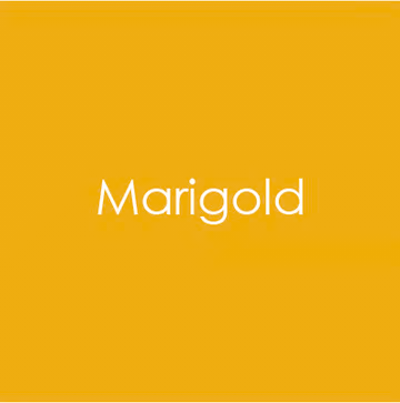 Gina K. - Marigold Cardstock