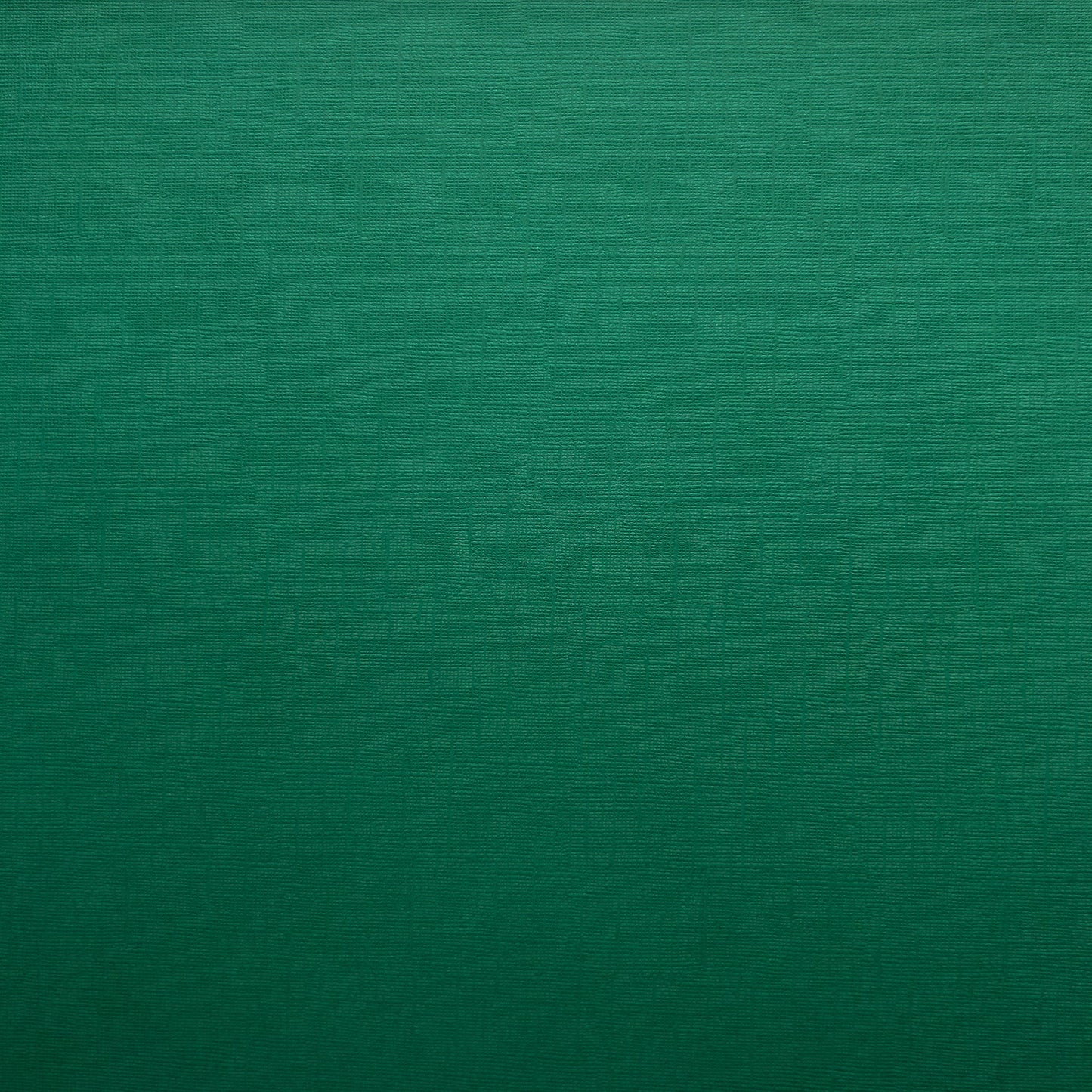 Encore Paper - Canvas Texture - Green Green