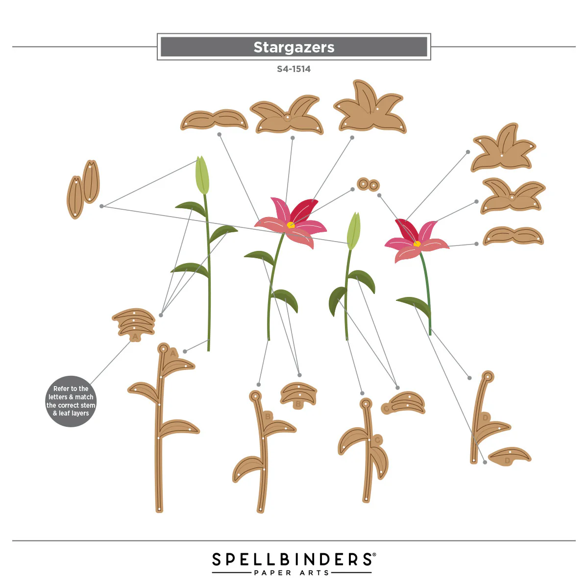 Spellbinders - Stargazers Die Set