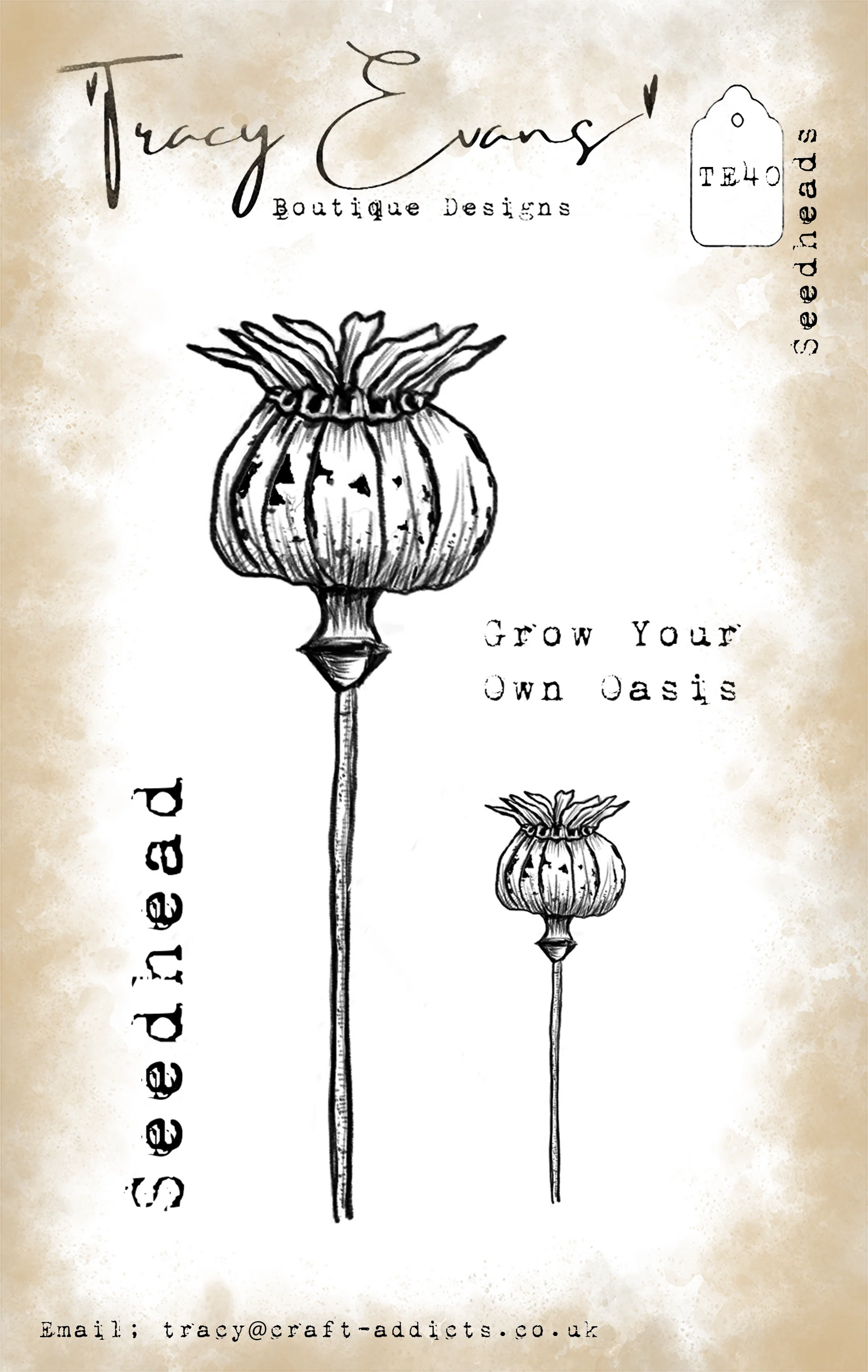 Tracy Evans - Seedheads Stamp Set