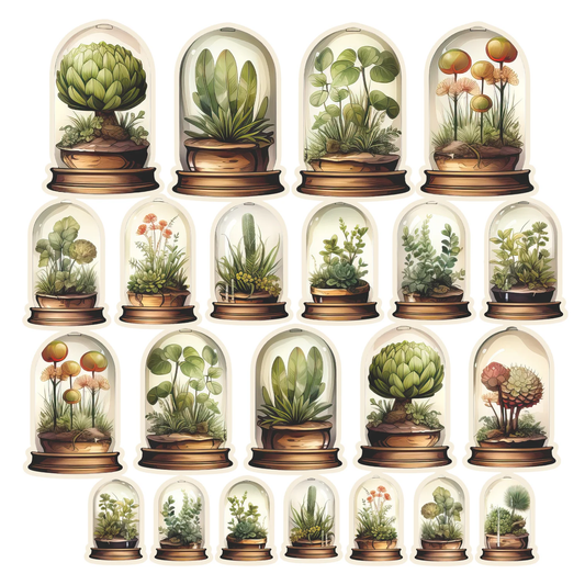 Simply Stated - Floral Academia - Terrarium Ephemera