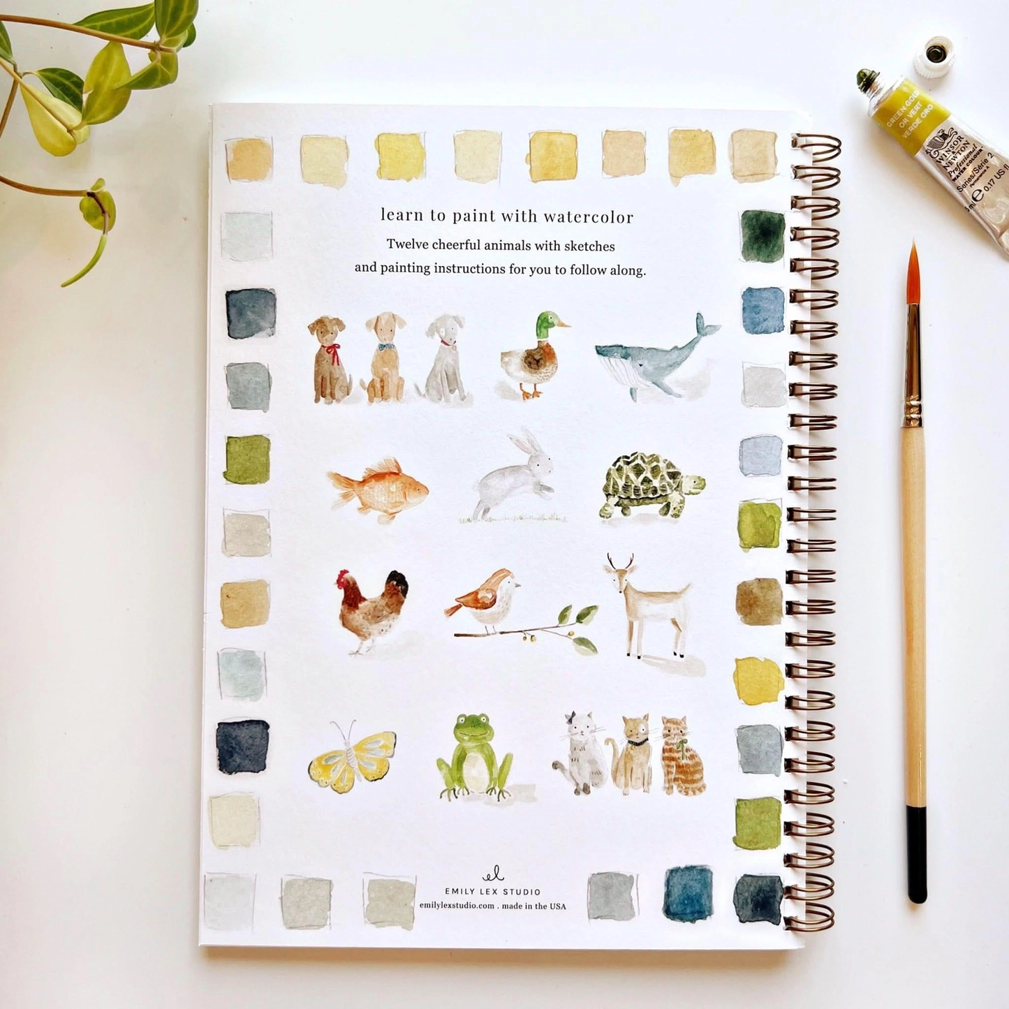 Emily Lex Studio - Watercolor Workbook - Animals