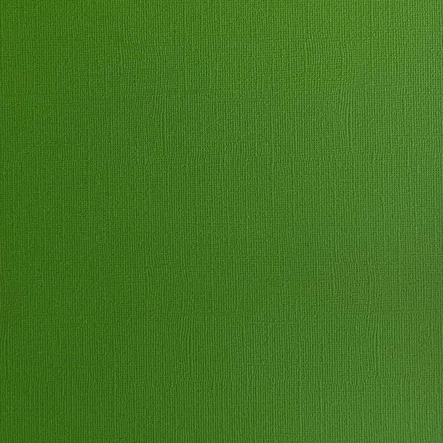 Encore Paper - Canvas Texture - Dill Pickle