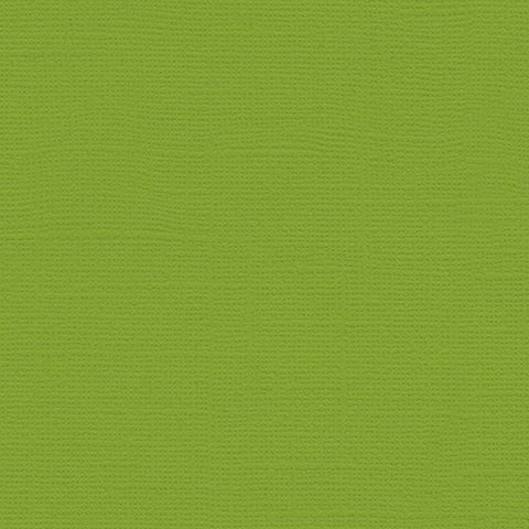 My Colors - Canvas Cardstock - Mint Julep