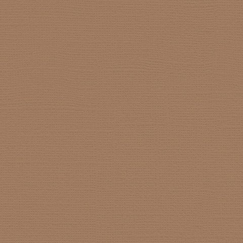 My Colors - Canvas Cardstock - Chamois