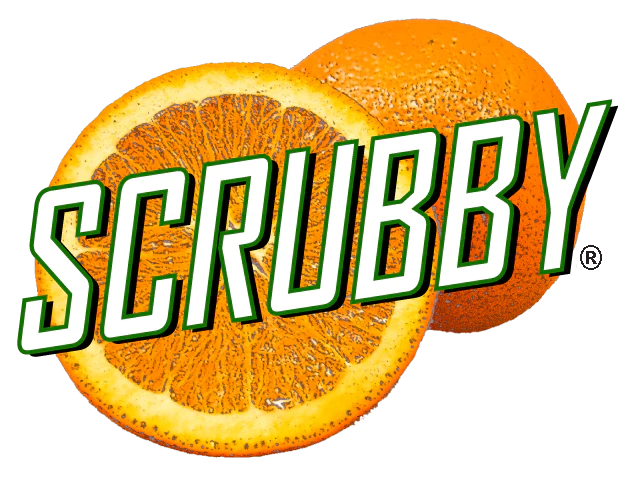 Scrubby Soap