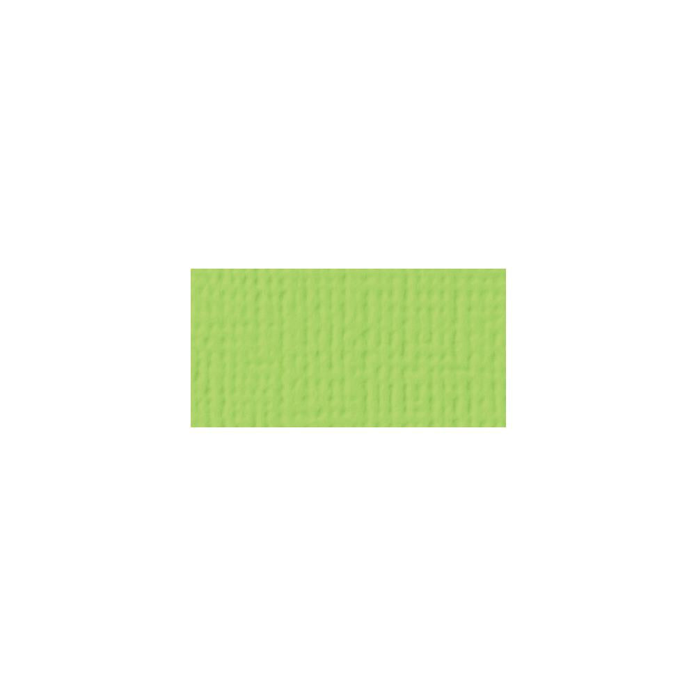 Key Lime Card Color American Crafts - Key Lime Textured Cardstock – Glitter & Ink