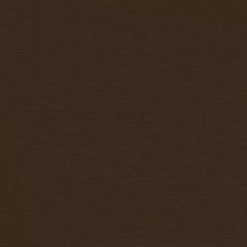 My Colors - Canvas Cardstock - Brown Eyes