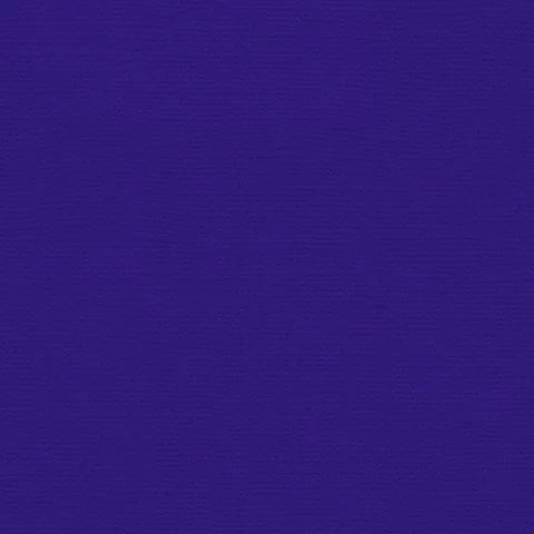 My Colors - Canvas Cardstock - Plum