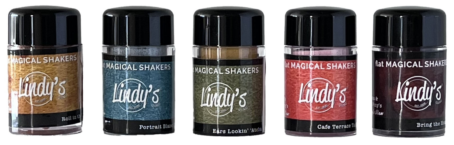 Lindy's - Magical FLAT Shaker Painters Set - Vinny's View