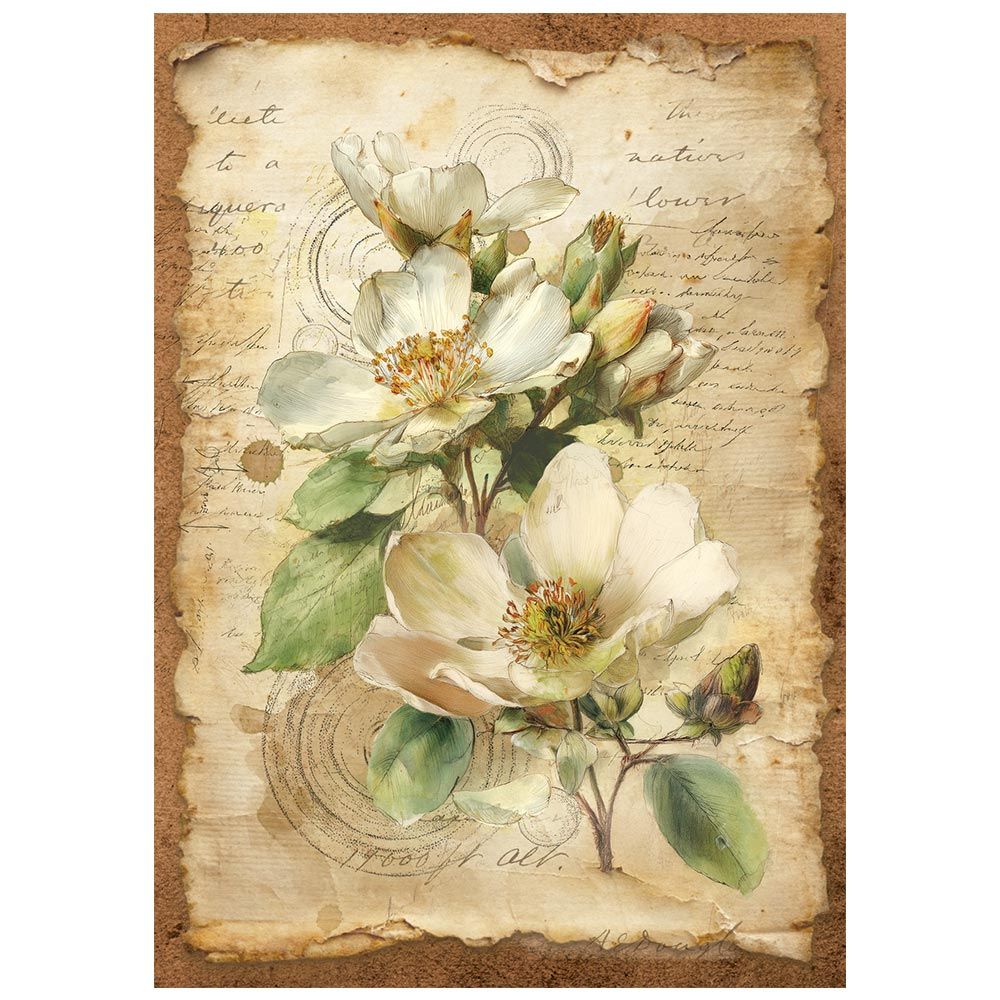 Stamperia - All Around - A6 Mini Rice Paper Pack