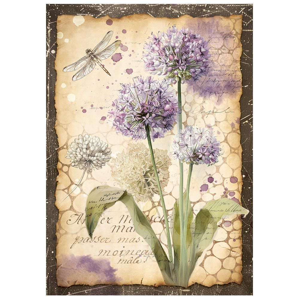 Stamperia - All Around - A6 Mini Rice Paper Pack