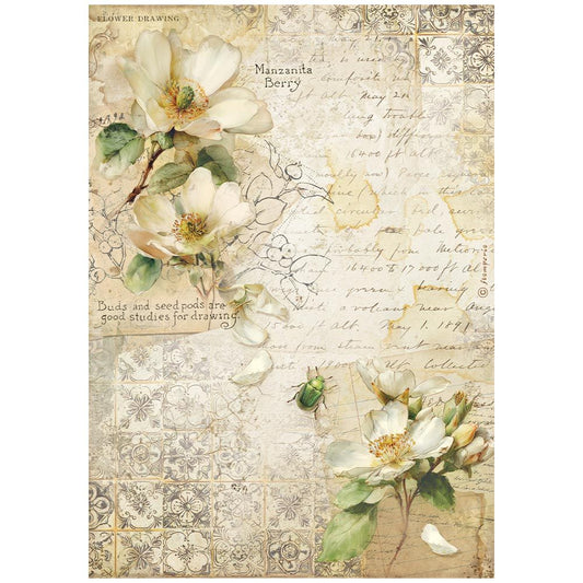 Stamperia - All Around - Camellia Rice Paper
