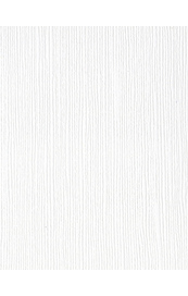 Bazzill Fourz - Avalanche Cardstock