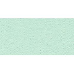 Bazzill Fourz - Turquoise Mist Cardstock