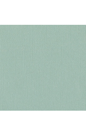 Bazzill Mono - Aqua Cardstock