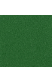 Bazzill Mono - Bazzill Green Cardstock