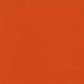 Bazzill Mono - Orange Cardstock