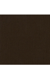 Bazzill Mono - Brown Cardstock