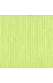 Bazzill Mono - Limeade Cardstock