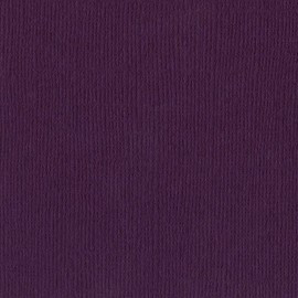 Bazzill Mono - Velvet Cardstock